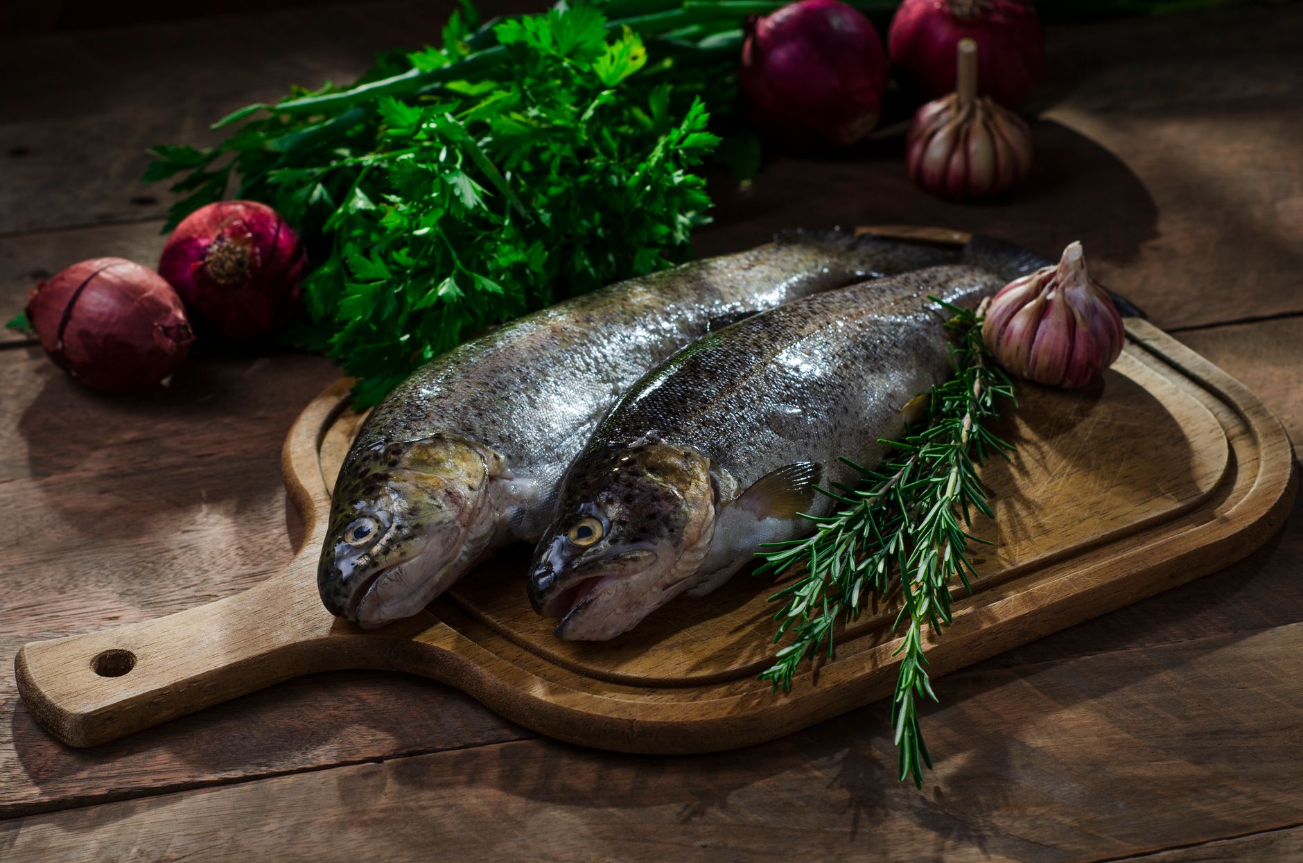 Gerookte forel met venkel-appelsalade