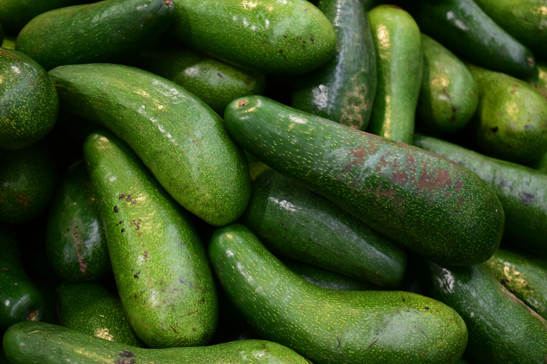 Koude avocado-komkommersoep met munt