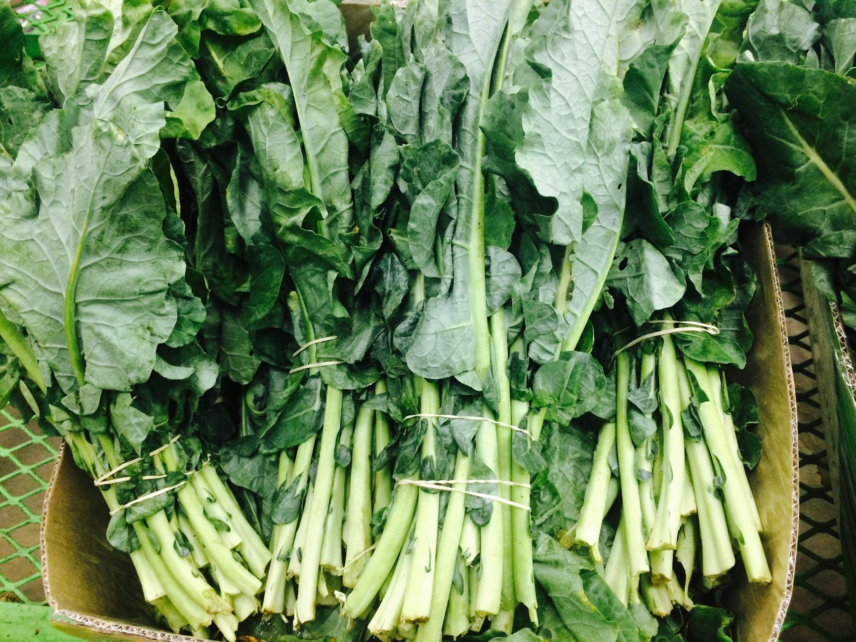 Southern collard greens met gerookt spek